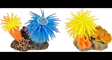 Flamingo Aquarium Leo anemoom+rots - Willekeurig - 10 x 7 x 7 cm