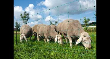 AKO Schapennet OviNet GROEN 108cm x 50m DUBBELE PEN