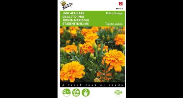 2 stuks - Buzzy - Tagetes patula nana Petite Orange