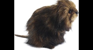 Hansa Muskusrat knuffel - 22 cm - pluche - realistisch design - knuffeldier