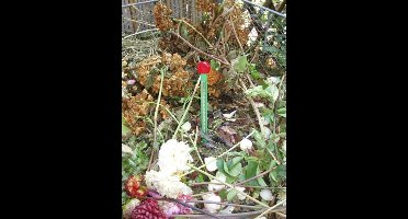 Compost thermometer 38cmNature