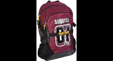 Harry Potter Rugzak Quidditch 07 - Hoogte 49cm