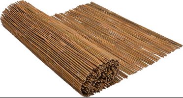 vidaXL - Scherm - 500x100 - cm - bamboe