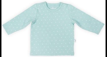 Jollein Shirt longsleeve Hearts soft green Maat 74/80