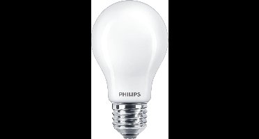 Philips Kaarslamp en kogellamp