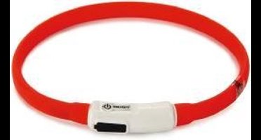 Beeztees Safety Gear Dogini - Hondenhalsband - USB - Rood - 35x1 cm