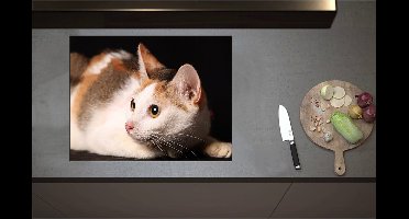 Inductieplaat Beschermer - Calicokat ligt voor zwarte achtergrond en kijkt naar zijkant - 71x55 cm - 2 mm Dik - Inductie Beschermer - Bescherming Inductiekookplaat - Kookplaat Beschermer van Wit Vinyl