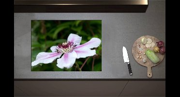 Inductieplaat Beschermer - Clematis Flordie Bloemen in het Wit met Paarse Details - 70x51 cm - 2 mm Dik - Inductie Beschermer - Bescherming Inductiekookplaat - Kookplaat Beschermer van Zwart Vinyl