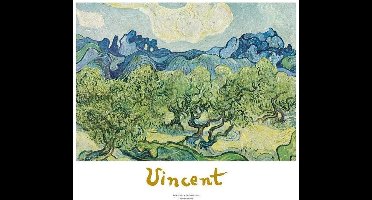 Kunstdruk Vincent Van Gogh - Landscapes with olive trees 70x50cm