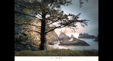 Kunstdruk William Vanscoy - All Day Dreamer 91x66cm