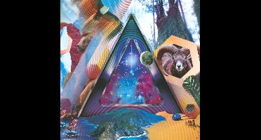 Universal Pulse