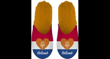 Plenty Gifts Pantoffels Holland Pluche/textiel Oranje Maat 39/42