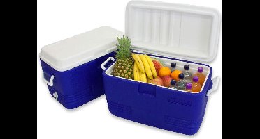 Polarcooler Koelbox 40 Liter - Blauw wit - Handvaten -Coolbox - IJsbox Camping - Thermobox