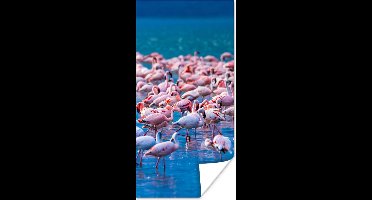 PosterMonkey - Poster - Fotolijst - Dieren - Flamingo - Zwart - Wit - Grijs - Kader - 80x160 cm - Slaapkamer - Poster lijst - Frame poster - Poster flamingo - Poster met frame