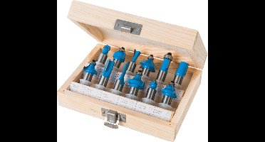 Silverline 12-delige 12 mm TCT frees set