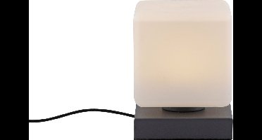 Tafellamp Dadoa Antraciet 5Watt incl. 3-Step Dimmer