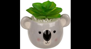 Vetplant in pot, luiaard of koala
