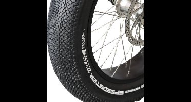 Diverse Buitenband 20x4.00 Zwart | Fatbike Street