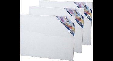 Gerimport Canvas schildersdoek - 3x - 50 x 40 cm - rechthoekig - doek