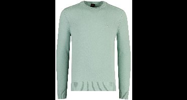 Hugo Boss trui groen