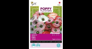 Papaver Parelmoer, Mother of Pearl