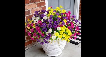 12 bundels kunstbloemen (Morning Glory) - voor buitendecoratie - UV-bestendige nep-plastic planten - kunstgroen - voor binnen- en buitendecoratie in de tuin, op het terras, bij de vensterbank of in de bloembak.