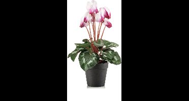 Emerald - Kunstplant Cyclamen in pot 30cm wit/beauty - Kunstplant voor binnen