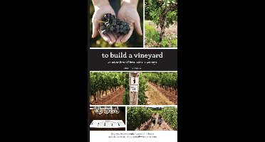 To Build A Vineyard