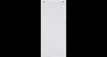 Exacompta 12x FOREVER® Pak van 100 horizontale tabstroken met perforatie 180g - 105x240mm - Wit - 13405B
