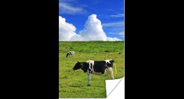 Poster Koeien - Boerderijdieren - Gras - 20x30 cm