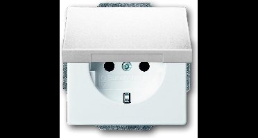 ABB Busch-Jaeger Future/Solo Wandcontactdoos (WCD-Schakelmateriaal) - 2CKA002018A1467 - E2EY8