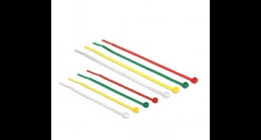 Tie-wraps 100 x 2,5mm + 200 x 3,6mm / diverse kleuren (200 stuks)