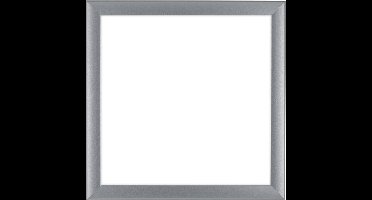 Fotolijst 55x55 cm - MDF - Zilver Mat - Colonia