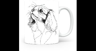 Beker Epagneul Nain Continental (Papillon/Phalène)