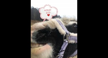 Kantar York Harmony Pony Roze - Comfort & Stijl