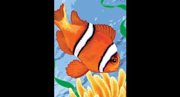 PJS56 Schilderen op nummer - Paint by numbers - Finding nemo! 22x30cm - Schilderen op nummer volwassenen - Paint by numbers volwassenen