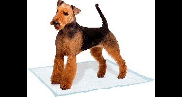 ferplast genico zinderlijkheids trainings mat large  60x90cm
