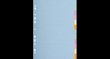 Exacompta 25x Tabbladen gerecycleerd karton 170g - 12 tabs - A4 - Geassorteerd - 1612E