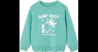 Vertbaudet Fantasie sweater voor jongens
