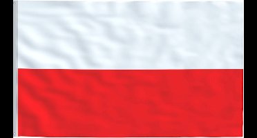 vidaXL - Vlag - Polen - 90x150 - cm