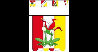 Vlaggenlijn karton oeteldonk 3 mtr dubbelz vlag