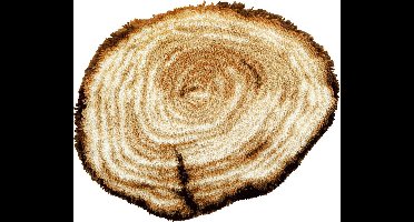 Vervaco - Knoopvormtapijt kit - Boomstam - PN-0146159 - Borduren - Borduurpakket - Borduurpakket volwassenen - Borduurpakket kind