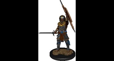 Wizkids: Dungeons and Dragons - Nolzur's Marvelous Miniatures - Human Male Fighter