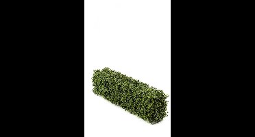 Emerald - Kunstplant Buxus haag UV 100x20x25cm - Kunstplant voor binnen