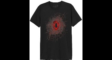 Spider-Man Destroyed Spider Web Heren T-shirt - zwart - XXL