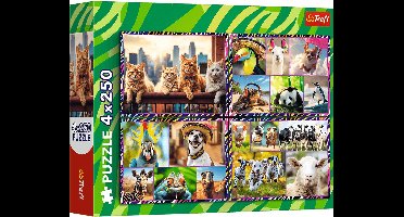Trefl 13313, 250 stuk(s), Dieren, 7 jaar