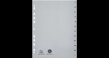 Exacompta plastic-indextabs, januari-december, A4-formaat, 12-delig.