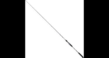 Sakura Ryokan Sw Casting Jigging Hengel Zilver 1.90 m / 50-150 g