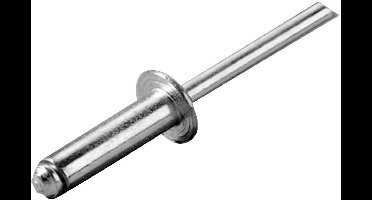 Oem Marine Roestvrij Staal Klinknagel 100 Eenheden Zilver 4.8 x 16 mm