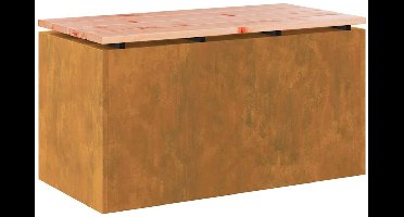 vidaXL - Tuinbank - Roestig - Cortenstaal